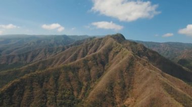 Dağ ormanlarının manzarası. Bali