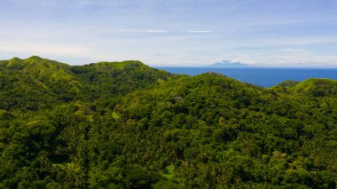 Tropikal bitki örtüsü olan tepeler ve dağlar. Bohol, Filipinler.