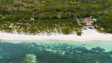 Kumsal ve tropikal deniz. Panglao Adası, Filipinler.