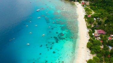 Kumsal ve palmiye ağaçları. Filipinler, Mindanao.