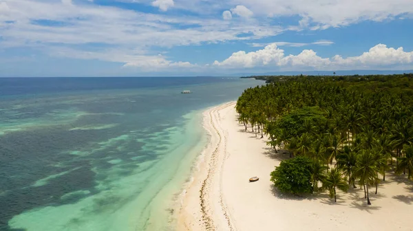 Spiaggia sabbiosa e mare tropicale. Isola di Panglao, Filippine. — Foto Stock