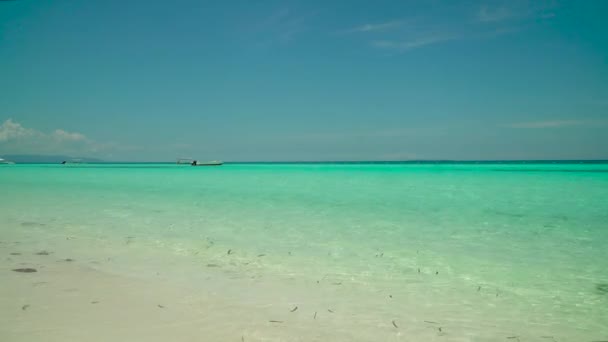 Praia de areia e mar tropical. Ilha de Panglao, Filipinas. — Vídeo de Stock