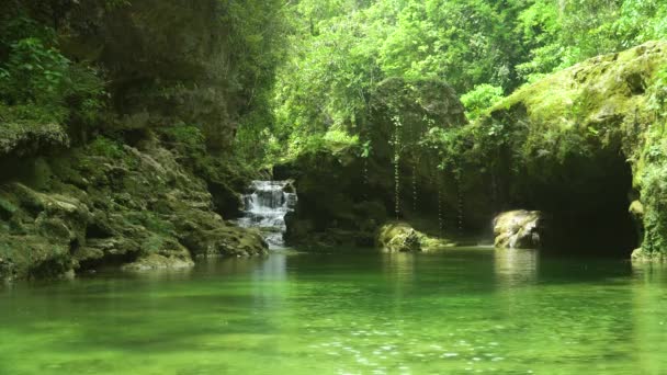 丛林里的河流Bohol，菲律宾. — 图库视频影像