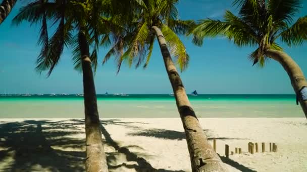 Playa tropical de arena y mar azul, Filipinas. — Vídeos de Stock