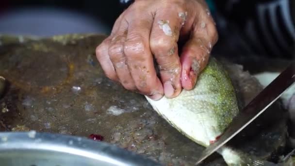 Mulher está cortando peixe em um mercado de frutos do mar. — Vídeo de Stock