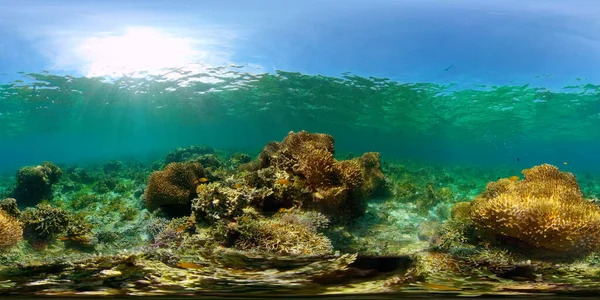 Κοραλλιογενής ύφαλος και τροπικά ψάρια. Φιλιππίνες. Εικονική πραγματικότητα 360 — Φωτογραφία Αρχείου