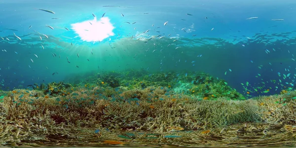 Arrecife de coral y peces tropicales. Filipinas. Vista de 360 grados. — Foto de Stock