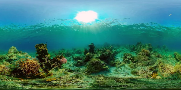 Recifes de corais e peixes tropicais subaquáticos. Filipinas. Vista de 360 graus. — Fotografia de Stock