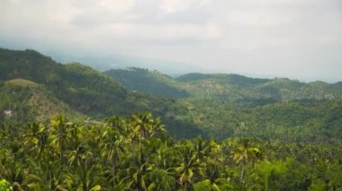 Tropikal ormanlı dağlar. Filipinler Cebu Adası.