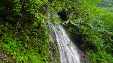 Güzel tropik şelale.