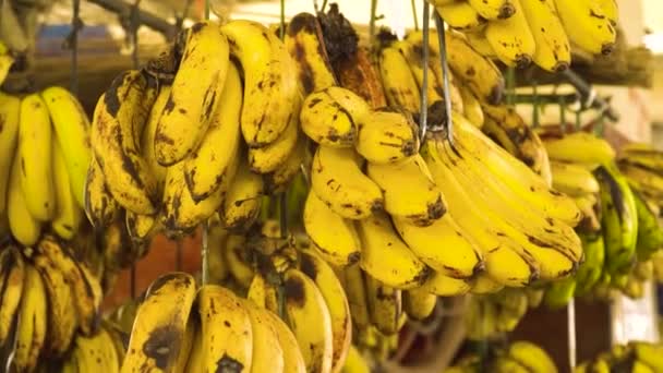 市場におけるバナナの束グループ. — ストック動画