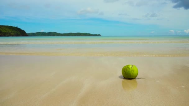 Zöld kókusz a homokos parton. — Stock videók