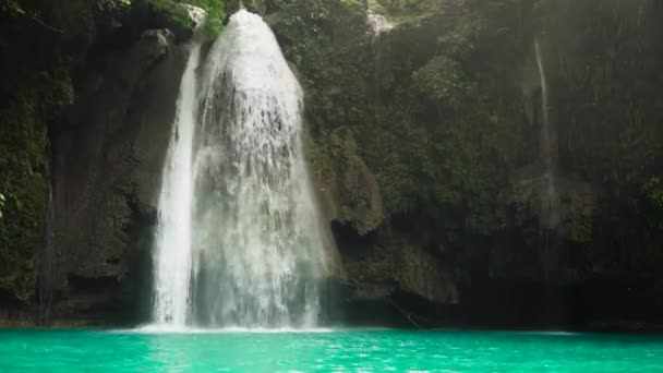 아름다운 열대 폭포. 필리핀 , 세부. — 비디오