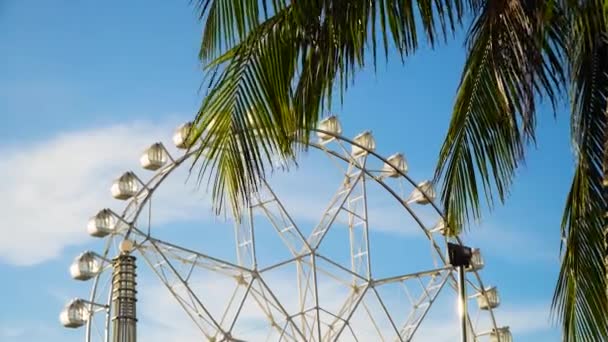 Roda gigante em um parque de diversões. — Vídeo de Stock