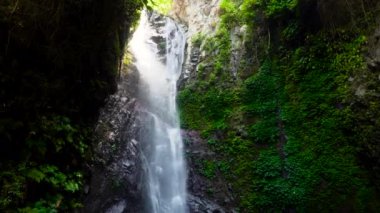 Güzel tropik şelale. Bali, Endonezya.