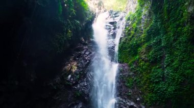 Güzel tropik şelale. Bali, Endonezya.