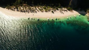 Tropik plaj ve deniz manzaralı.
