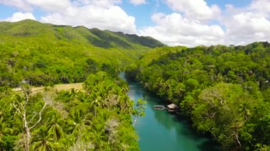 Ormandaki Loboc nehri. Bohol, Filipinler.