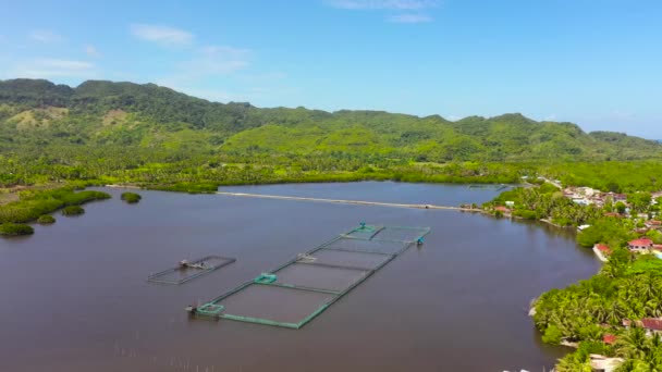 Viskwekerij met vijvers. Bohol, Filipijnen — Stockvideo