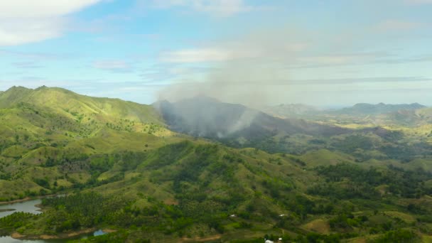 Лесной пожар в тропическом лесу. Феодосия, Филиппины. — стоковое видео