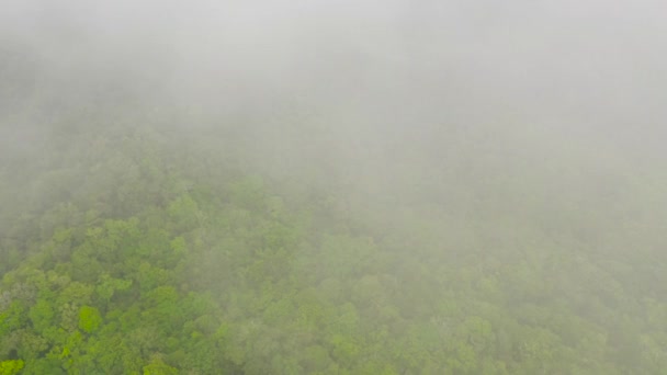 Colline e montagne con vegetazione tropicale. Bohol, Filippine. — Video Stock