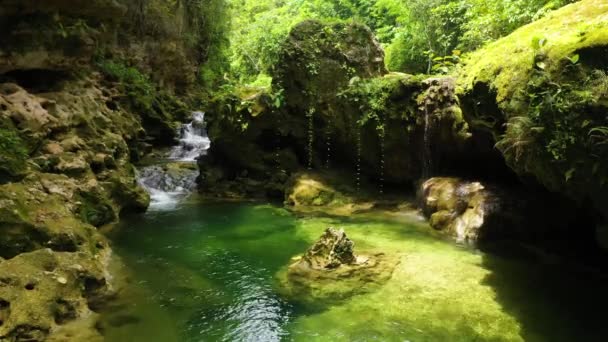 Річка в джунглях. Бохол (Філіппіни). — стокове відео
