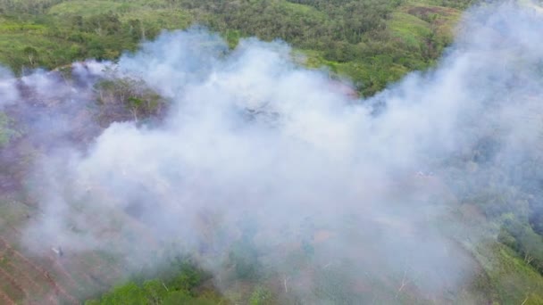 Skogsbrand orsakad av människan på jordbruksmark. — Stockvideo