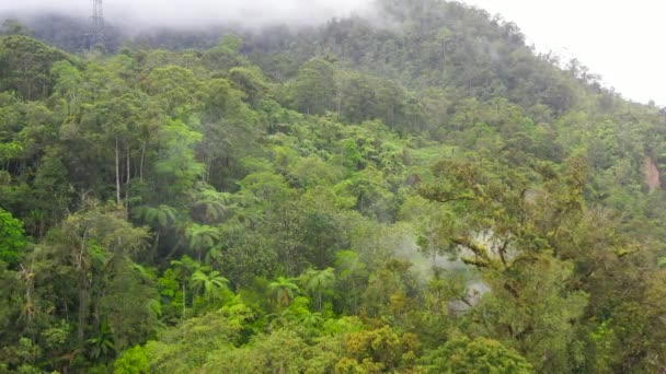 Yağmur ormanları ve bulutları olan dağlar. Filipinler, Mindanao — Stok video