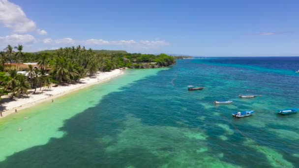 Sandy beach and tropical sea. Panglao island, Philippines. — Stock Video