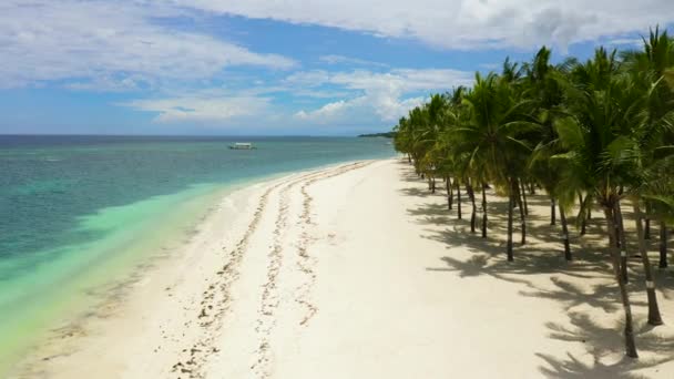 Zandstrand en tropische zee. Panglao eiland, Filippijnen. — Stockvideo