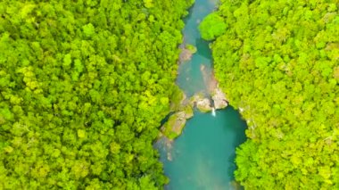 Ormandaki Loboc nehri. Bohol, Filipinler.