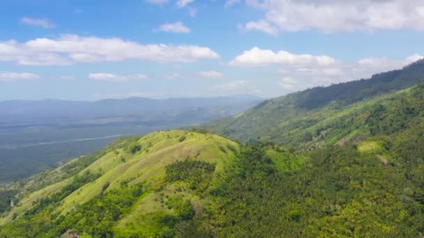 Горы с тропическими лесами. Филиппины, Minhabao — стоковое видео