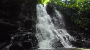 Güzel tropik şelale. Bali, Endonezya.