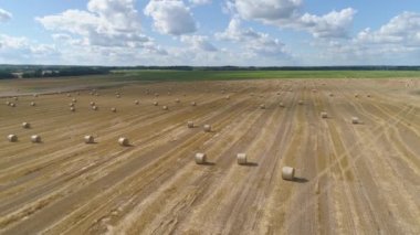 Sahada saman yığınları.