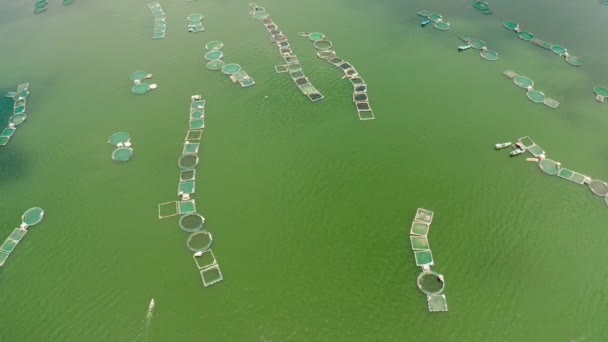 Viskwekerij aan het meer Taal, Filipijnen. — Stockvideo