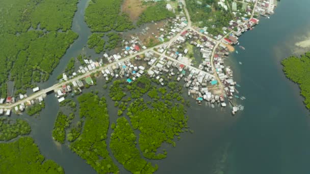 도시는 홍수림에 위치해 있다. 필리핀, 시아르가오. — 비디오