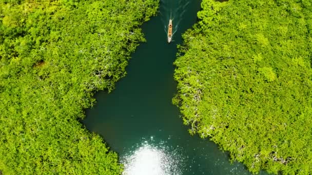 Luchtfoto van Mangrove bos en rivier. — Stockvideo