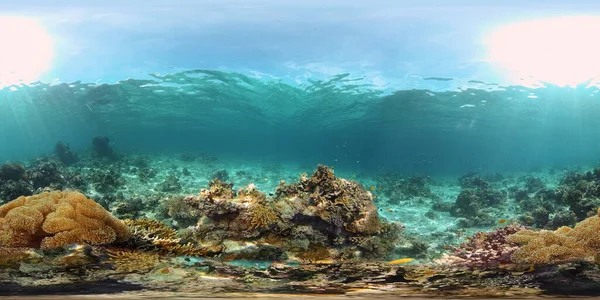 El mundo submarino de un arrecife de coral. Filipinas. Realidad virtual 360 — Foto de Stock