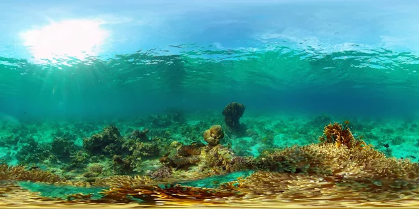 Korallzátony és trópusi halak a víz alatt. Fülöp-szigetek. Virtuális valóság 360 — Stock Fotó