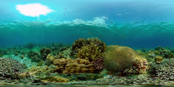 Arrecife de coral y peces tropicales. Filipinas. Realidad virtual 360 —  Fotos de Stock