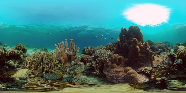 De onderwaterwereld van een koraalrif. Filippijnen. Virtual Reality 360 — Stockfoto