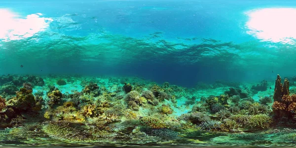 Récif corallien et poissons tropicaux sous-marins. Philippines. Vue à 360 degrés. — Photo