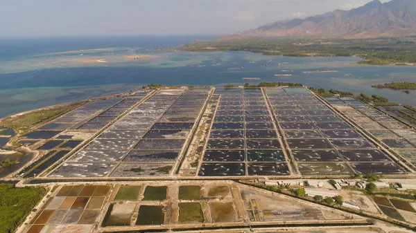 Garnalenhouderij in Indonesië — Stockfoto