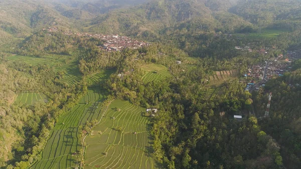 Тропический ландшафт с сельскохозяйственными угодьями в Индонезии — стоковое фото