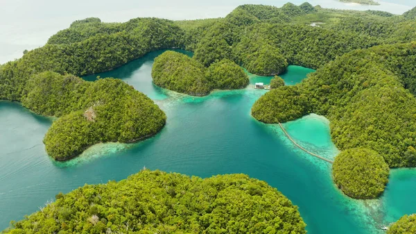 Veduta aerea della laguna di Sugba, Siargao, Filippine. — Foto Stock