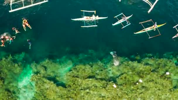 Туристы ныряют с маской и трубкой в коралловом рифе, Моальбоале, Филиппины — стоковое видео