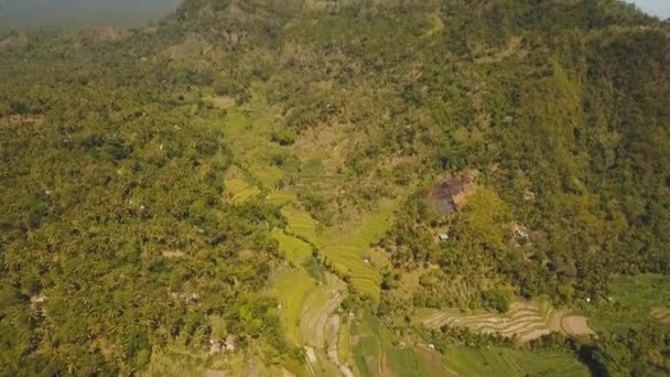 Vista sul paesaggio della foresta montana. Bali — Video Stock