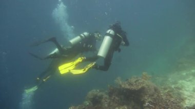 Suyun altında balıklı mercan kayalıkları. Camiguin, Filipinler