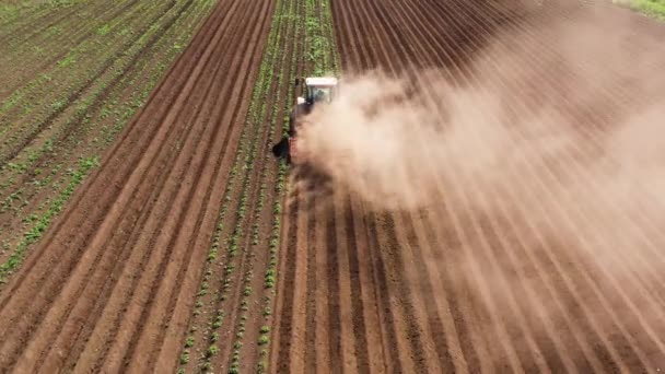 Landbouwmachines in het aardappelveld verbouwen de grond — Stockvideo