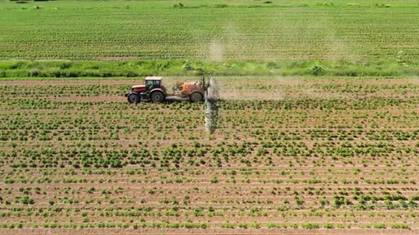 Trattore a spruzzo pesticidi su campo vegetale con spruzzatore — Video Stock